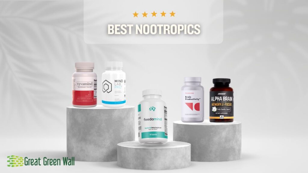 How Should I Choose The Right Nootropic For Me?